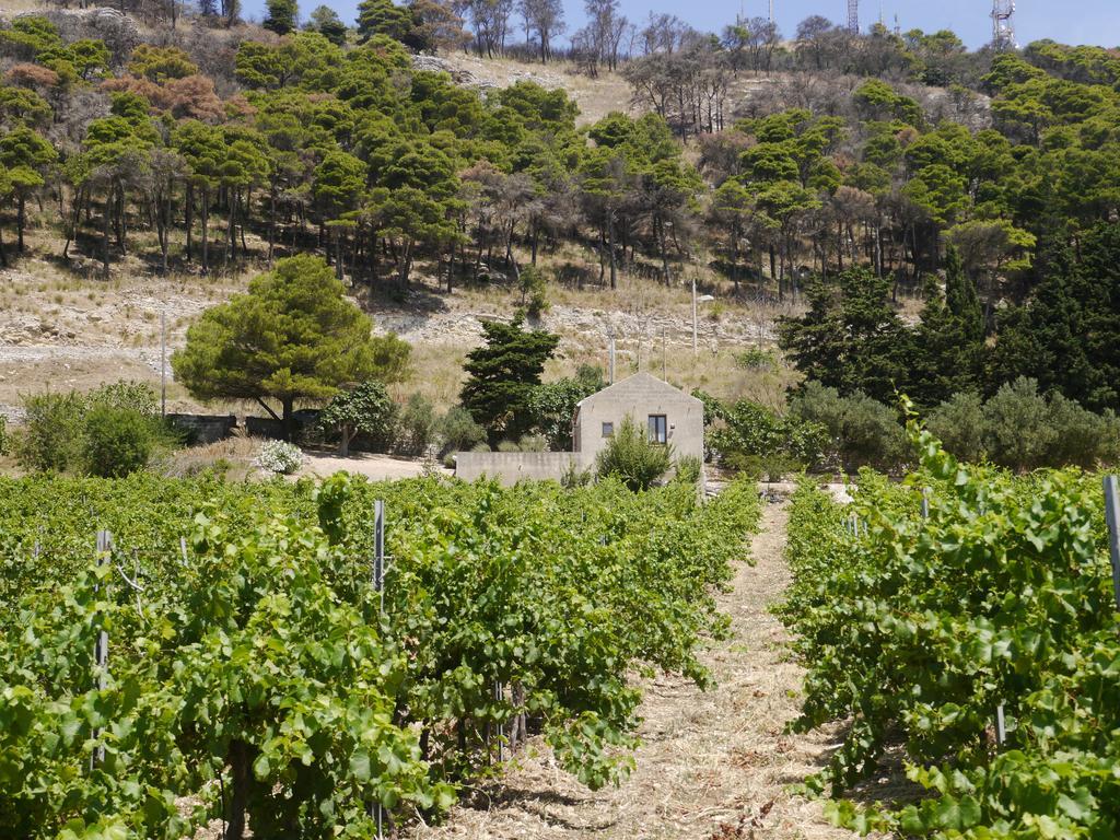 Casa Nel Vigneto Erice Pensionat Eksteriør billede